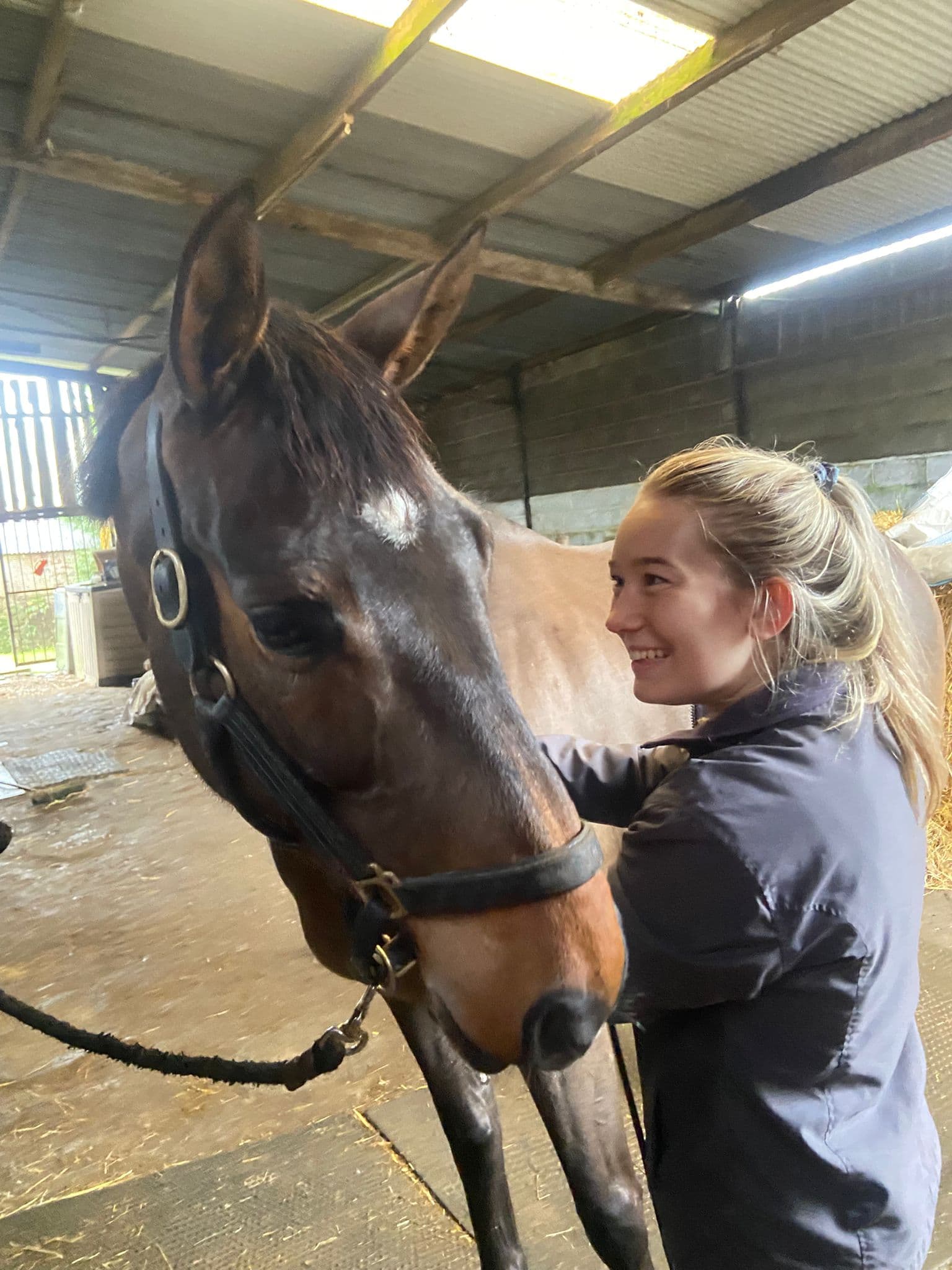 T J Hughes Vet Physio website